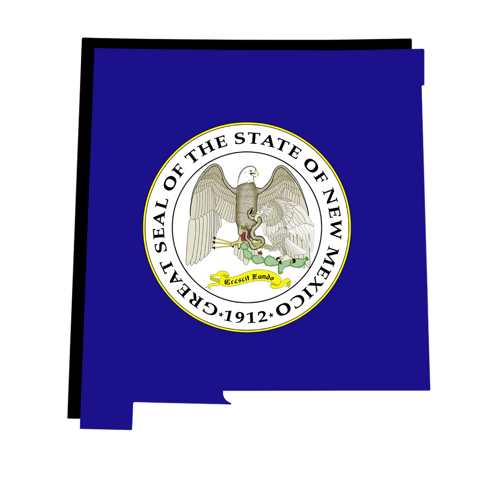 New Mexico Remote Online Notarization. Notary Public. RON DOCUMENT SIGNING.