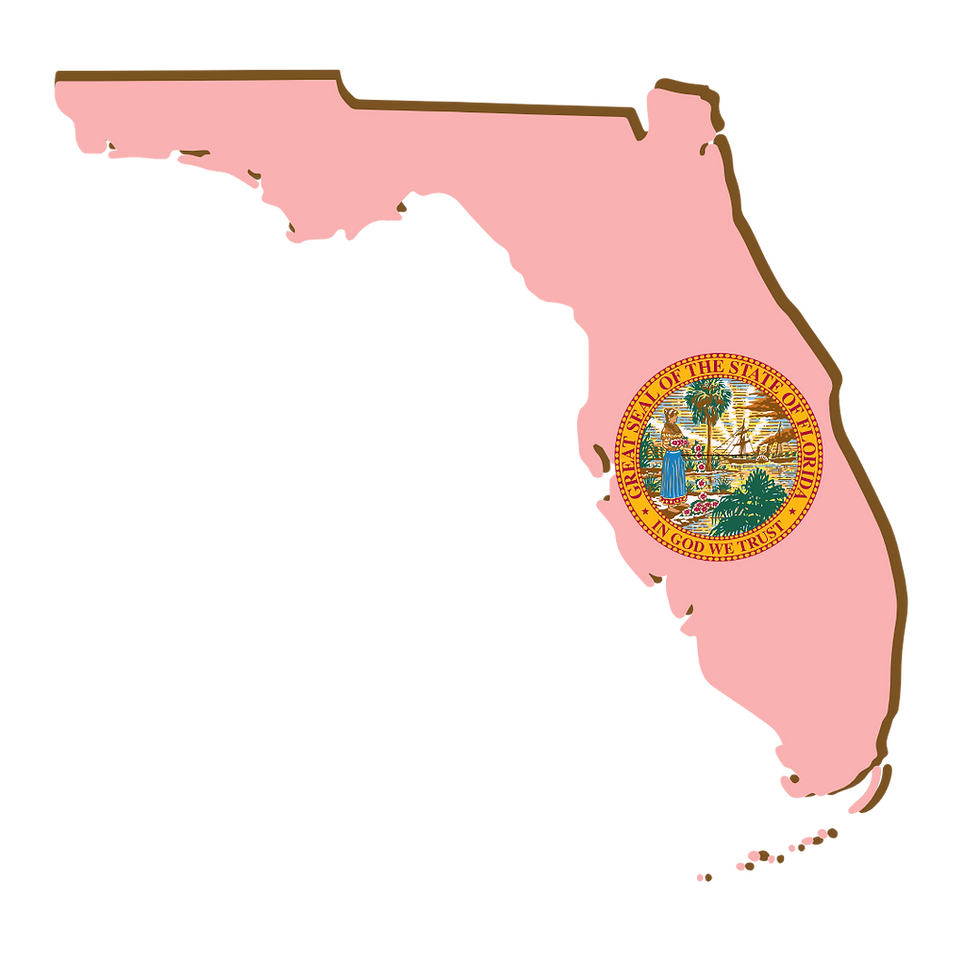 Florida, RON, Notary Public, La-Keisha Brokington.png