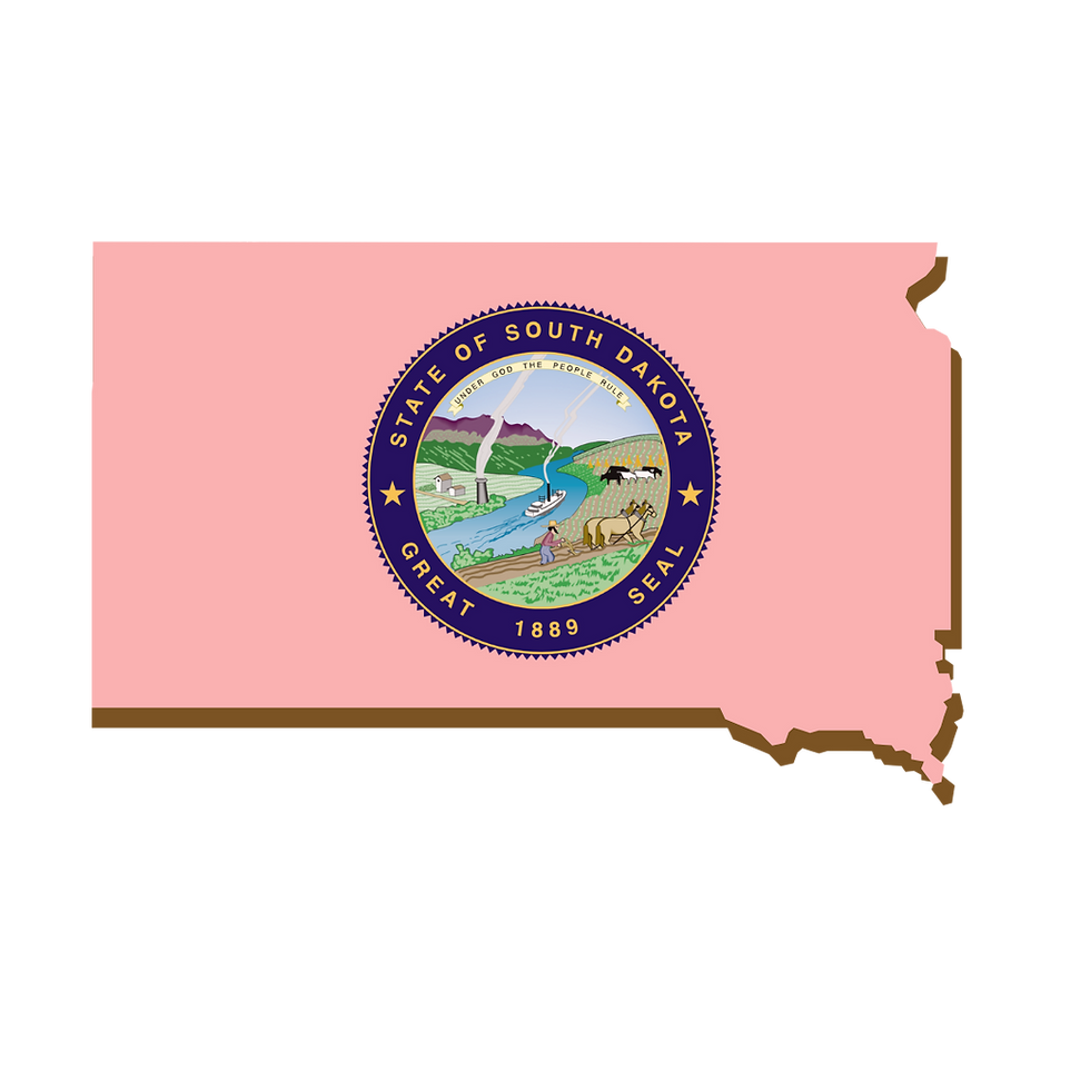South Dakota, RON, Notary Public, La-Keisha Brokington.png