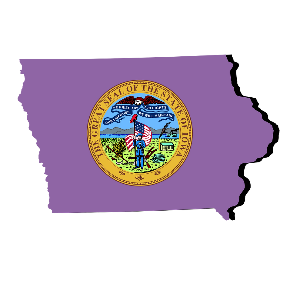 Iowa Remote Online Notarization. Notary Public. RON DOCUMENT SIGNING.