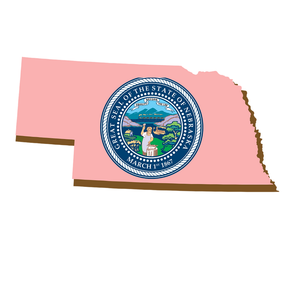 Nebraska, RON, Notary Public, La-Keisha Brokington.png