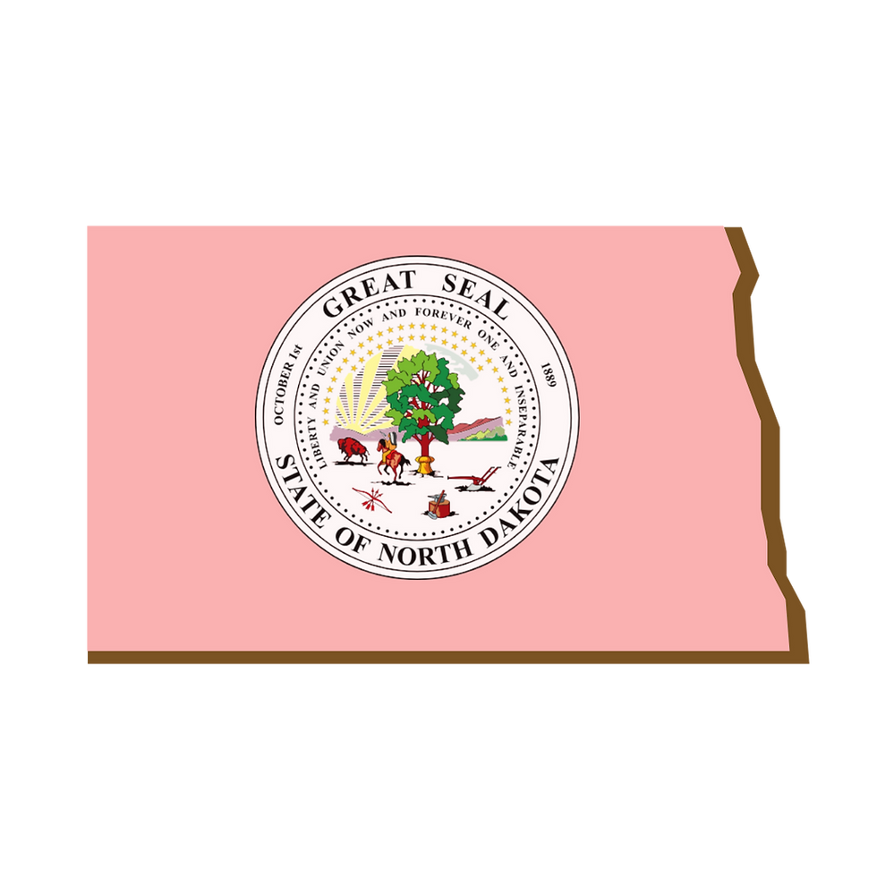 North Dakota, RON, Notary Public, La-Keisha Brokington.png