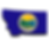 Montana Remote Online Notarization. Notary Public. RON DOCUMENT SIGNING.