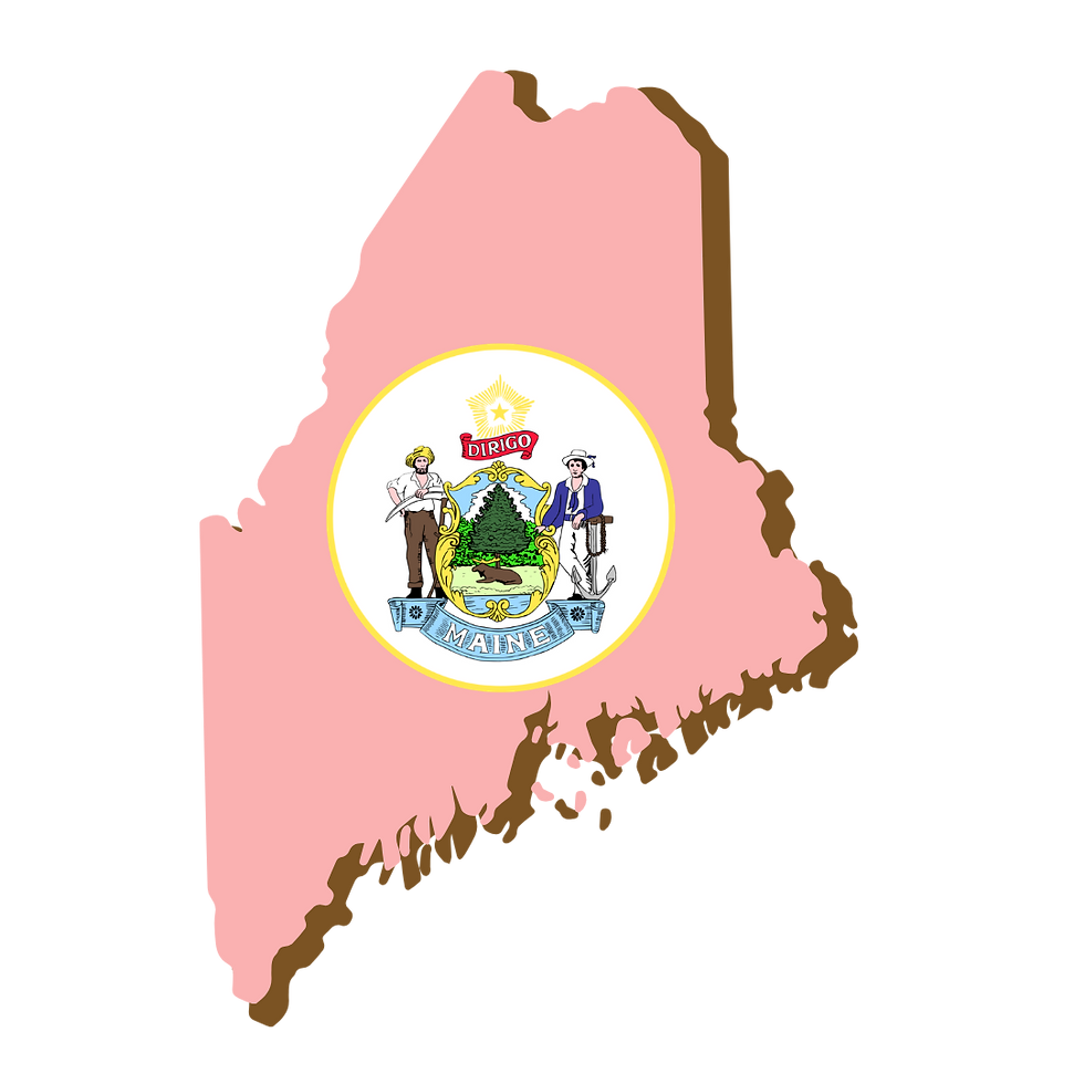 Maine, RON, Notary Public, La-Keisha Brokington.png