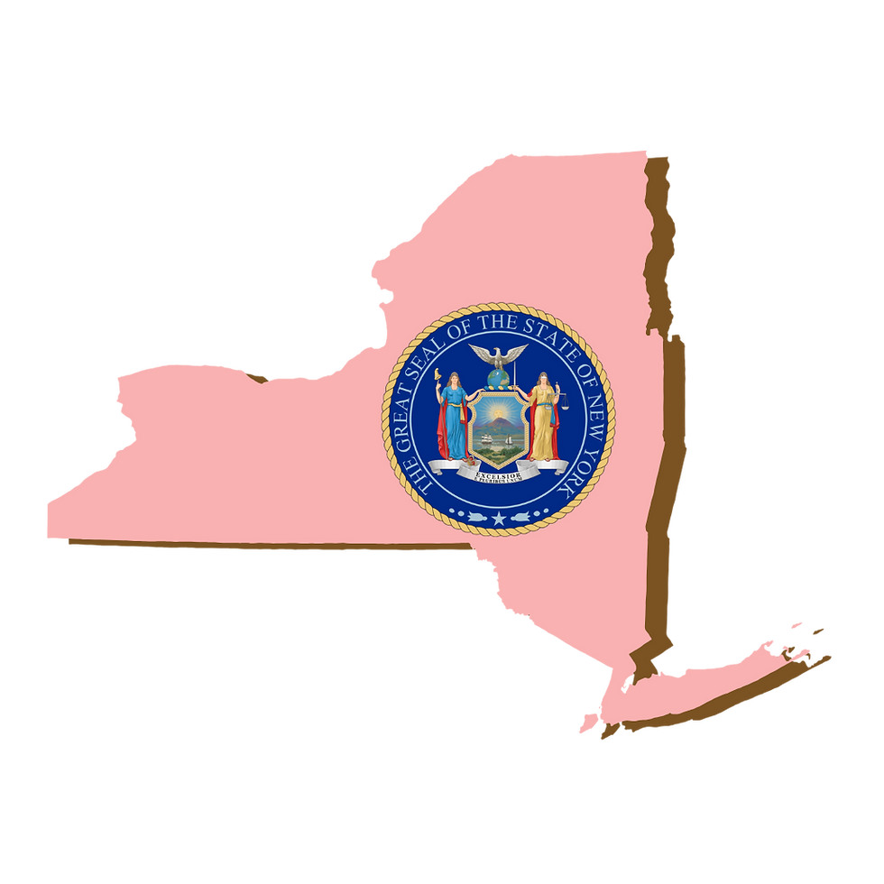 New York, RON, Notary Public, La-Keisha Brokington.png