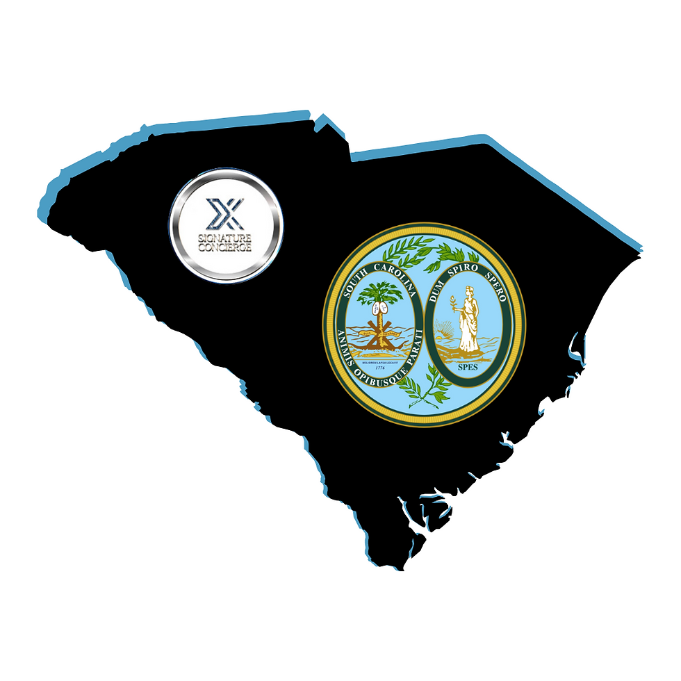 South Carolina Remote Online Notarization. Notary Public. RON DOCUMENT SIGNING. 