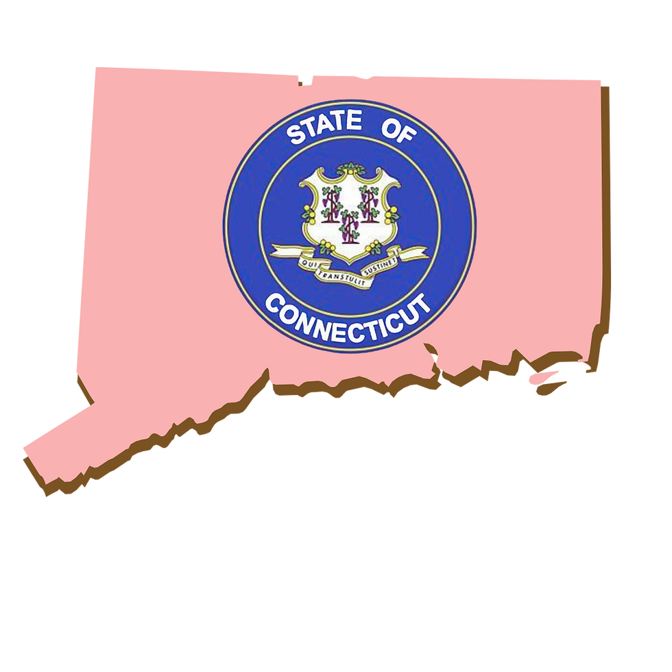 Connecticut, RON, Notary Public, La-Keisha Brokington.png