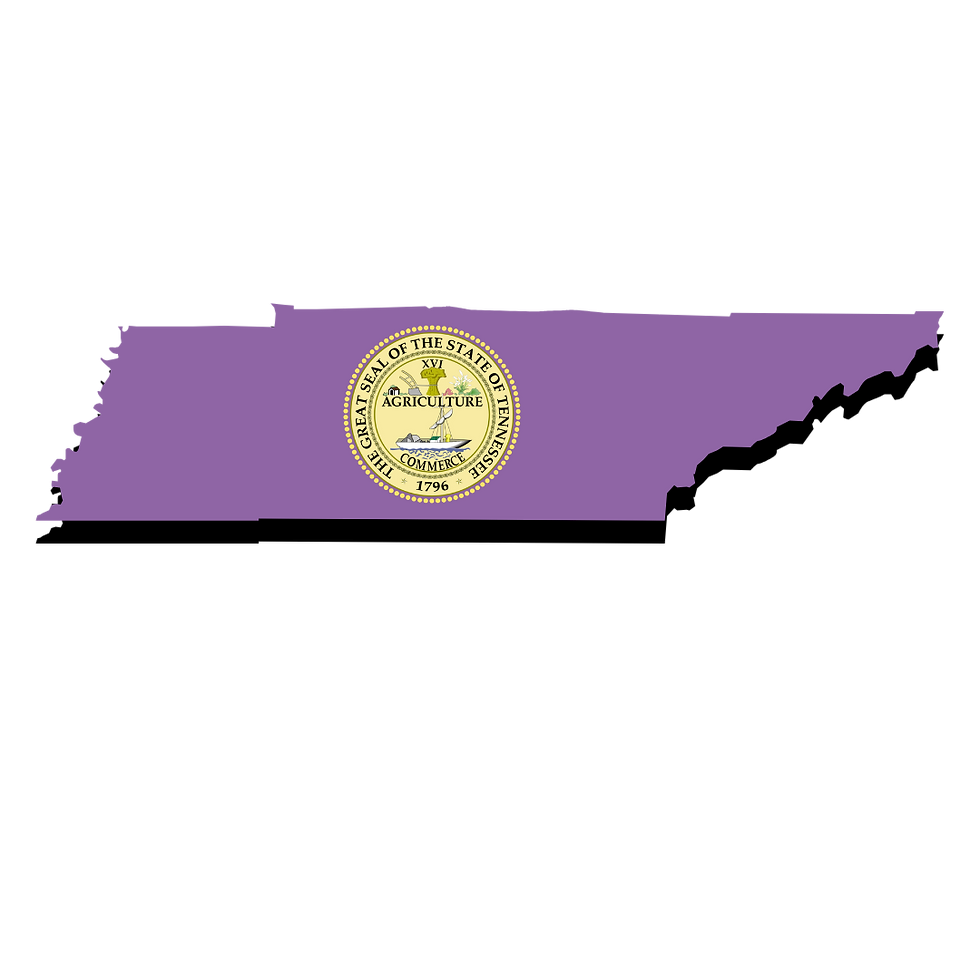 Tennessee Remote Online Notarization. Notary Public. RON DOCUMENT SIGNING.