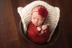 Cristen Noelle Photography