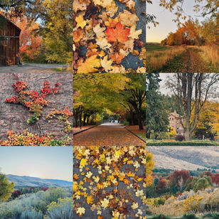 :: October days... ::