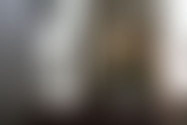 :: life, lately... ::