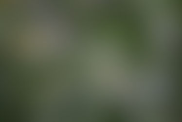 :: heart of this moment... ::