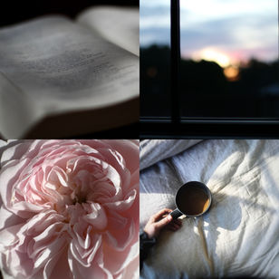 :: of love & beauty ::