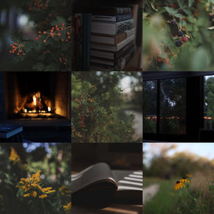 :: August days... ::