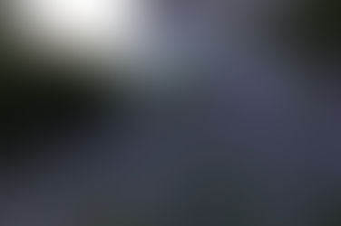 :: hello, summer... ::