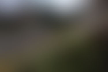 :: looking. walking. being ::