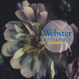 Webster University Portfolio