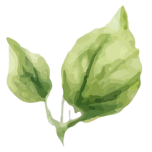 Revised EDUC 4180 Syllabus