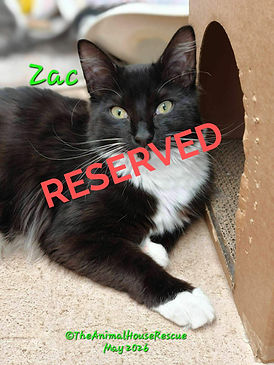 zac may2026_edited.jpg