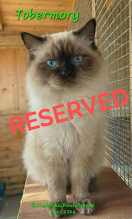 tobermory april2026_edited.jpg