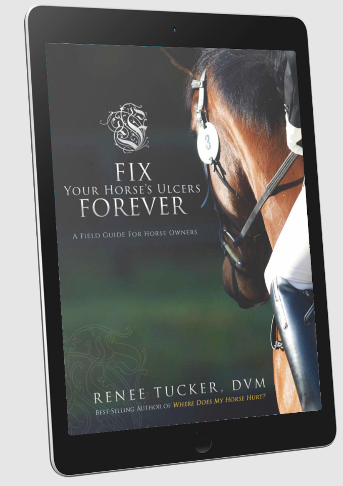 Ulcer PDF Report, Fix Your Horse's Ulcers Forever, Tucker BioKinetics Technique, Quantum Equine Balancing, Shelly Martin