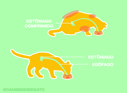 Cópia de comedouro.png