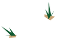 abre2.png