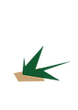 abre2.png