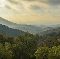 tourisme-varois-balades-promenades-dans-les-massifs-forestiers-du-var-83