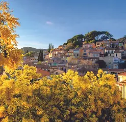 tourisme-var-lieux-incontournables-bormes-les-mimosas-83.webp