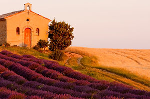 tourisme-dans-l-arriere-pays-varois-provence-verte-villages-authentiques-pittorseques-font