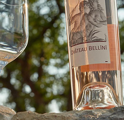 domaine-viticole-vignobles-varois-chateaux-bellini-83-vin-rosé-de-provence.jpg