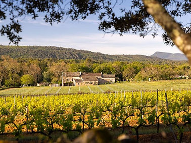 activité touristique dégustation de vin de provence à brignoles