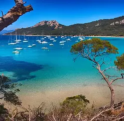 tourisme-var-lieux-incontournables-île-de-porquerolles.webp
