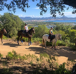 balades-randonnees-promenades-a-cheval-dans-le-var-youtisme-varois.jpg