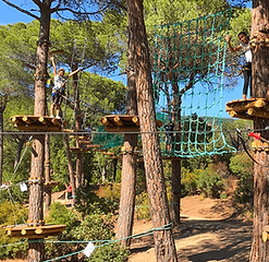 tourisme-eco-var-acrobranche-aoubré.png