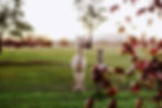 Barrington Coast Bed and Breakfast Accommodation