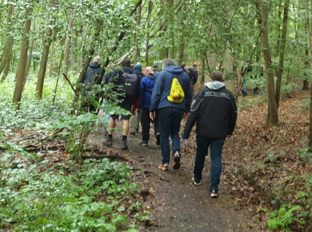 Tendens op weg naar de Via Francigena