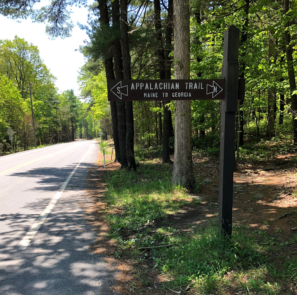 How to pick trekking poles for thru hiking?