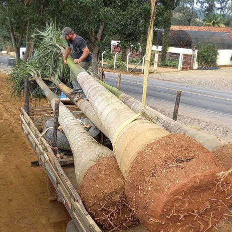 carregamento e serviços