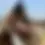 Thumbnail: Sheepskin Halter