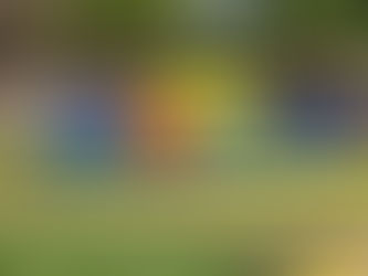 Anastácio sediará etapa do VII Campeonato Brasileiro de Xadrez cbxe