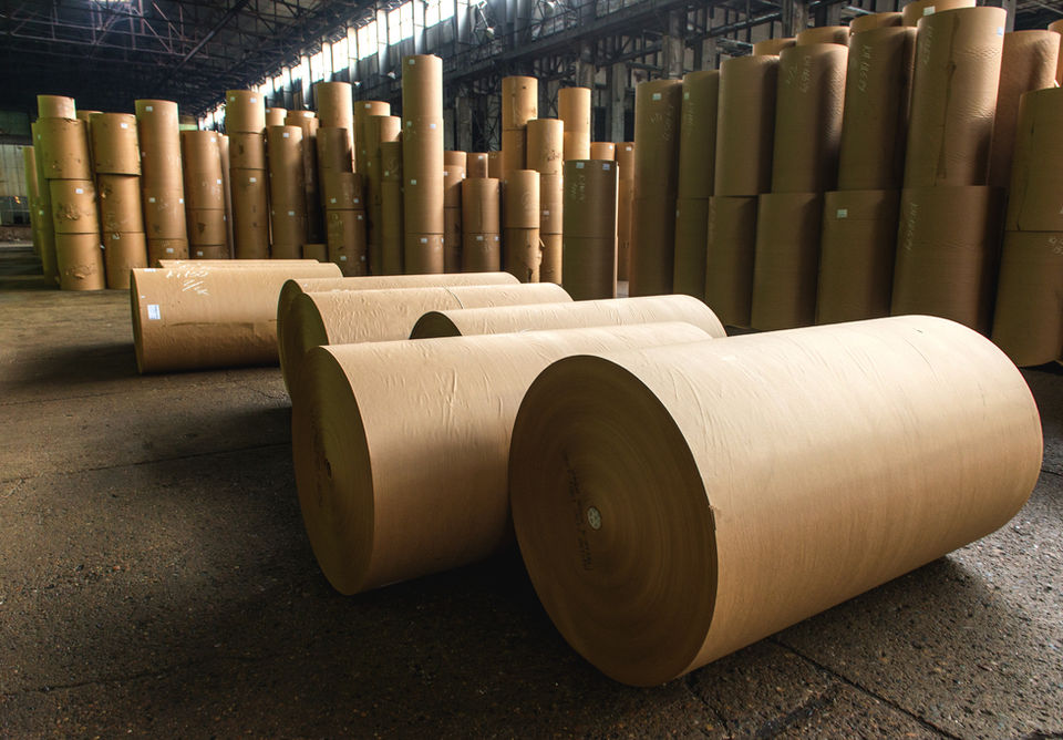 Linerboard - Virgin Kraft and Recycled