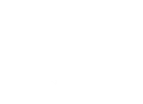 estado_nuevos-50.png