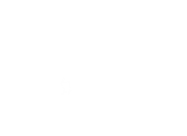 estado_nuevos-44.png