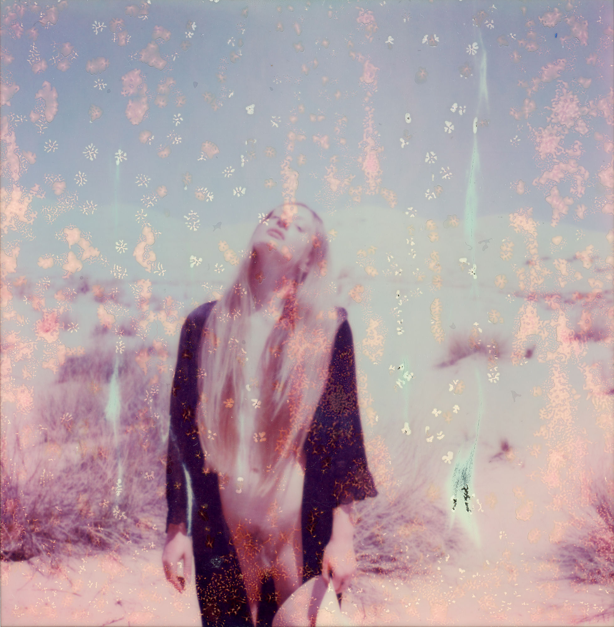 Constellations / Original Polaroid