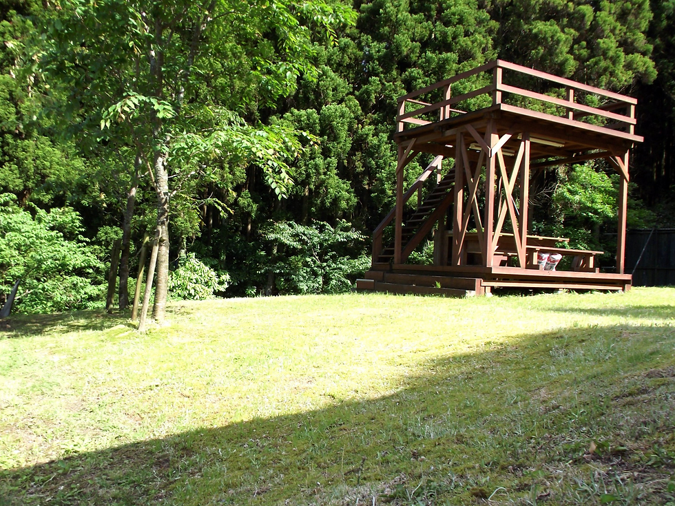 緑に包まれた清々しい環境