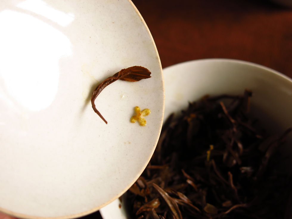 Thumbnail: 2023 Osmanthus Keemun Black Tea, 50g (桂花祁红)