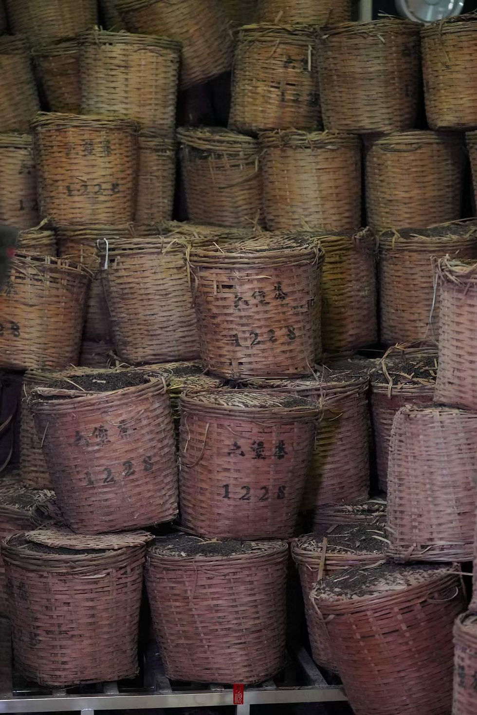 A tale about Liubao tea