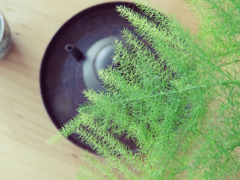 fern and Chinese clay teapot